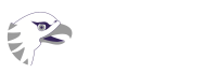 Custodia Corporativa